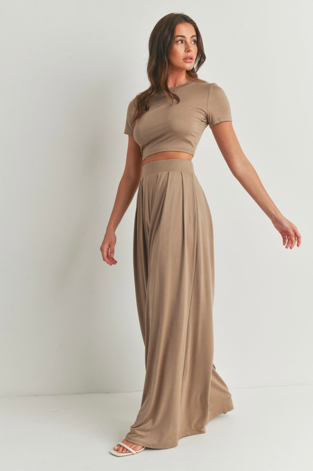 Crop Top and Palazzo Pants Set