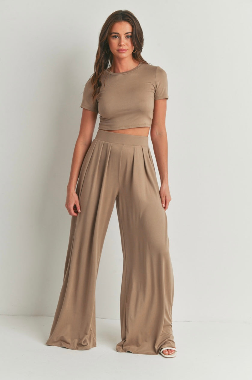 Crop Top and Palazzo Pants Set
