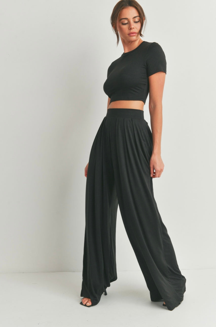 Crop Top and Palazzo Pants Set