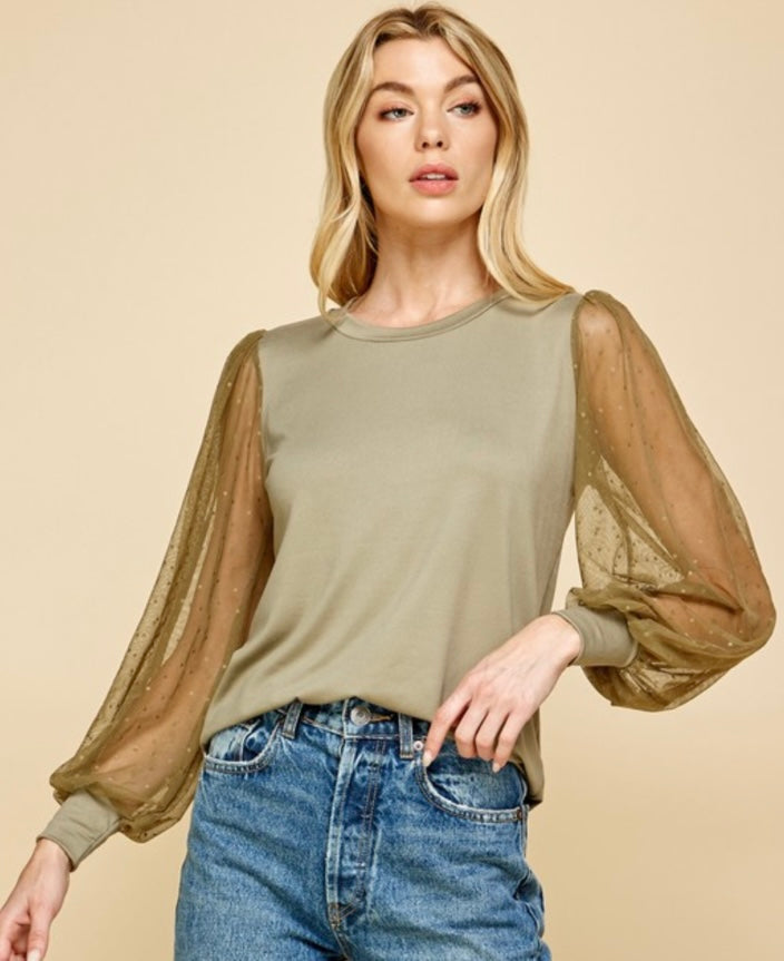 Mesh Swiss Dot Long Sleeve Top