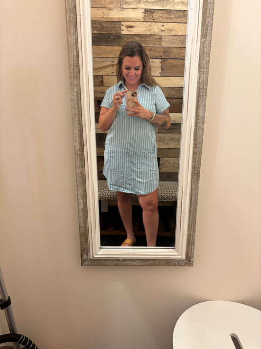 Striped Chambray Collared Mini Dress
