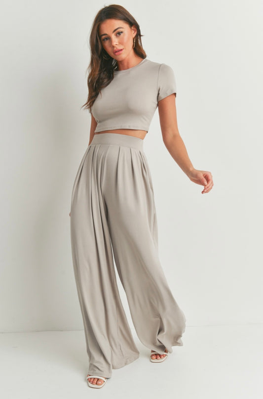 Crop Top and Palazzo Pants Set