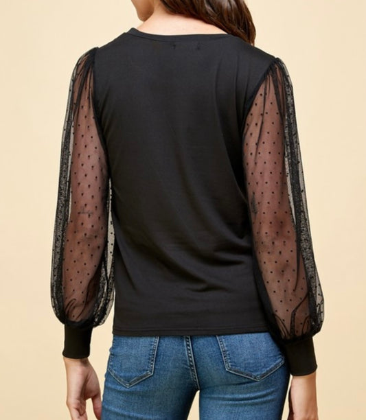 Mesh Swiss Dot Long Sleeve Top